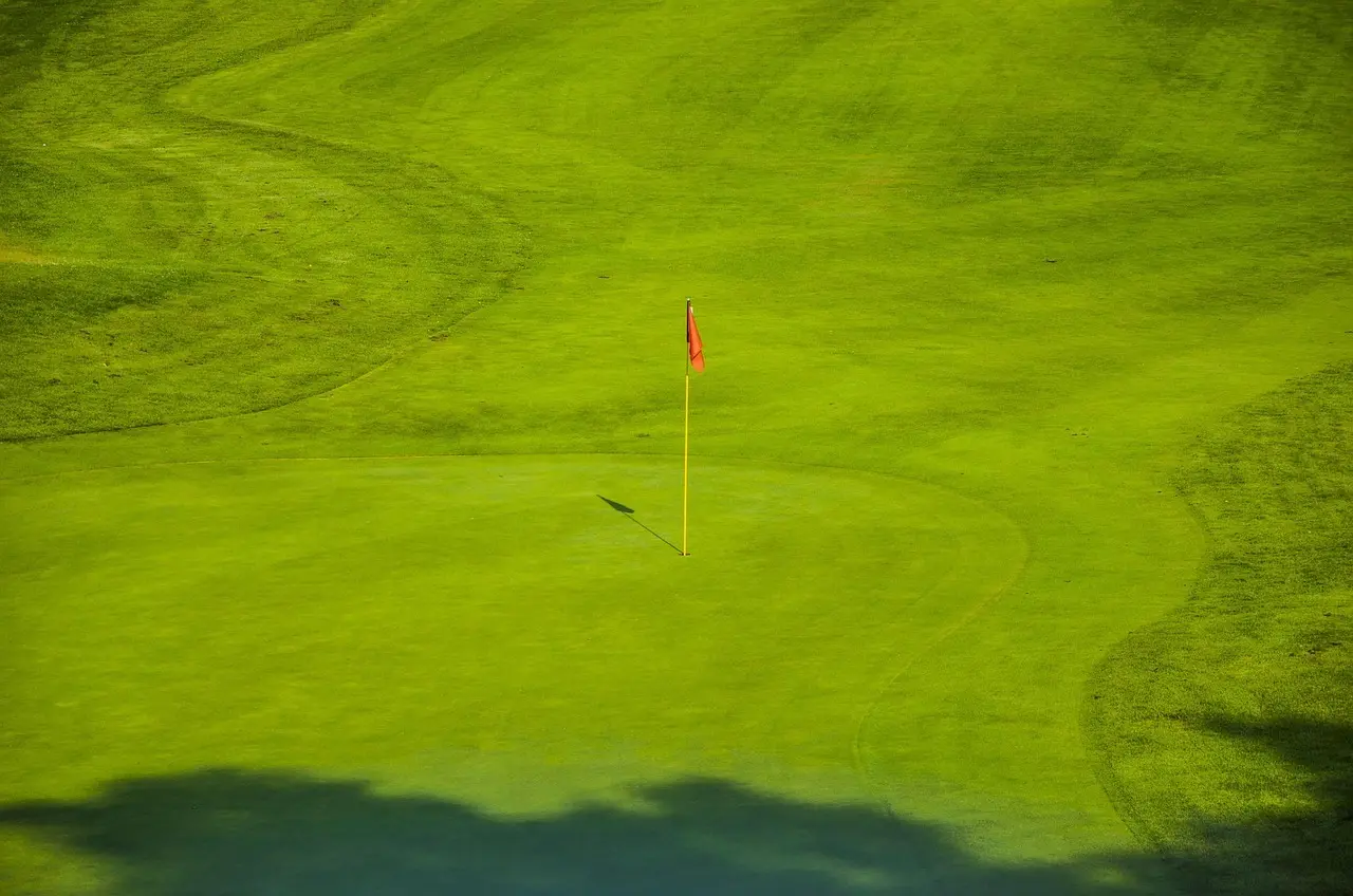 Golfgreen med flagstang og hul