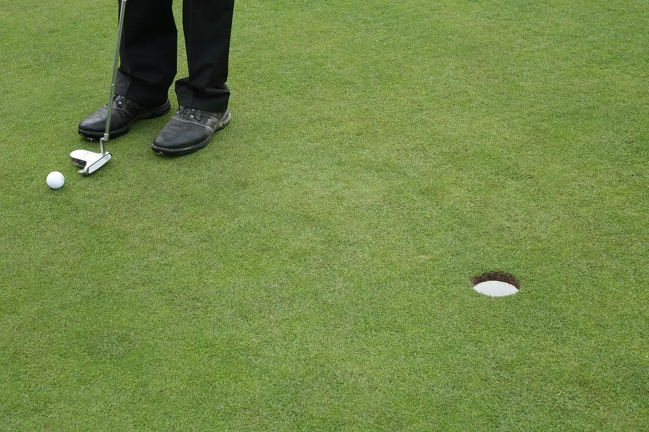 Golfspiller der putter ved et hul